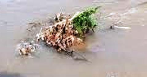 Tukang Sampah di Surabaya Menemukan Mayat Mengambang di Pintu Air Kayoon