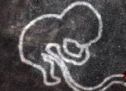 Karyawan Mall Ditangkap Buang Janin di Kelapa gading