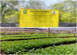 Pemprov Riau Berikan Bantuan Kepada Petani di Bengkalis