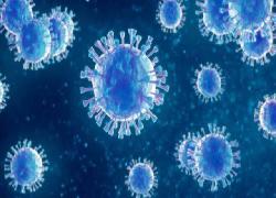 Beredarnya Isu Security PN Rohil Positip Covid-19! PN Rohil Berikan Tanggapan