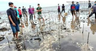 Tim KLHK Pantau PEN-PKM Kelompok Tani Hutan Mangrove IPMPL 1