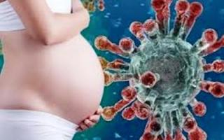 Spesialis Obstetri dan Ginekologi; Belum Ada Bukti Bayi dalam Kandungan Tertular Corona