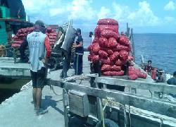 Kodim 0303 dan Bea Cukai Bengkalis, Tanggkap Kapal Bawa Bawang Ilegal