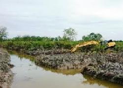 Dirjen Gakkum KLHK Ditantang Warga Usut Penjahat Lingkungan di Bengkalis