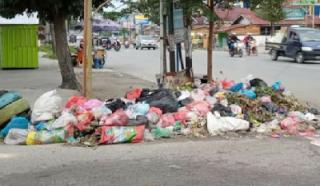 Pesan WhatsApp Agus Pramono Berdampak Sampah Menumpuk di Pekanbaru