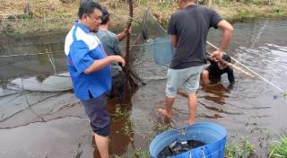 DPP APPI Riau Berikan Pemahaman Bidang Pertanian, Peternakan dan Perikanan