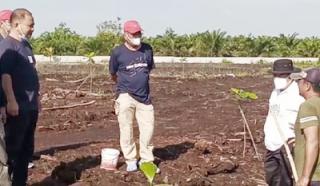 Wagubri Saksikan Panen Lele di Kolam Pusudiklat DPP APPI Riau