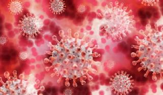 Update Covid-19 di Inhu, Per 24 Januari Positif 1.159 Tutup Usia 29 Orang