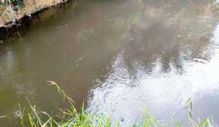 Hasil Lab Limbah PT IIS “Abu-abu” Arimbi: Sanksi Administratif Itu Bukan Berkas Tapi Konservasi Sungai