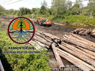 Waduh Judul Berita Kedatangan Intansi Kehutanan Pusat & Polhut Riau Ke Meranti Diduga di Stel Mafia Kayu Ilegal, Lenyap