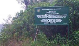 Ratusan Hektare Hutan Lindung Bukit Betabuh Diduga Digarap Tanpa Izin Oleh Pengusaha Pekanbaru