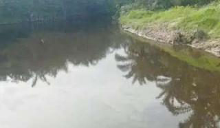 "Bola-bola" Konfirmasi Limbah PT Indosawit yang Diduga "Berbalut Angpao" Mamora: Warga Siap-siap Sanksi Ringan