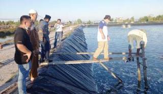 Tambak Udang Vaname Binaan DPD Santan NUKota Dumai Dikunjungi Rusli Ahmad