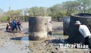 Berjibaku dan Berkubang Lumpur Tak Masalah Bagi Pemuda Bengkalis yang Cinta NKRI Ini