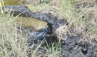 Peryataan Ditjen Migas Terkait Limbah PT CPI "Dicibir" Rakyat Riau, ARIMBI: Jangan Omong Doang Lihat Buktinya