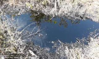 Terkait Limbah CPI Sebut Kordinasi dengan SKK Migas dan KLHK, Warga ; Pemerintah Kok Diam Ya?