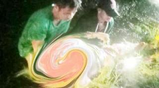 Pemanen PT Adei Pelalawan Ditemukan Tewas, "Ini Kecelakaan Kerja"