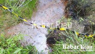 Tiga Kawasan Konservasi di Riau Tecemar Tanpa Pemulihan, ARIMBI: "Gubri Dapat Berapa Ya ?"