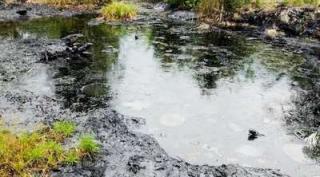 Diduga Demi Kepentingan Chevron, Gubri dan Kroninya Depak Dwi Yana