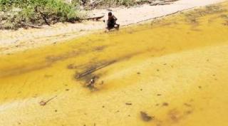 Langkah Awal Usut Pidana Lingkungan PT. Chevron Pacific Indonesia, Polda dan ARIMBI Tinjau Spot TTM Blok Rokan