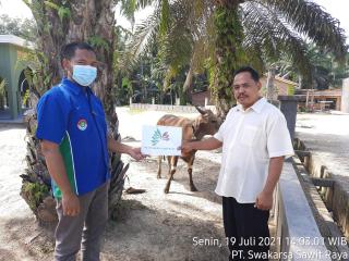 Rayakan Idul Adha, PT SIR dan SSR Sumbang 6 Ekor Sapi Qurban