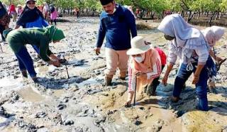 DPW Bengkalis Tanam Mangrove di Pulau Terluar Selat Malaka