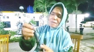 Dugaan Percobaan Pembunuhan Terhadap Salah Seorang Dewan Pelalawan Minta Disusut