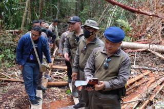 Kapolda Riau: Perambahan Hutan Di Cagar Biosfer Tindakan Kriminal