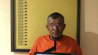 Pemilik Kayu Ilegal 1 Dump Truk di Peranap, Ditangkap