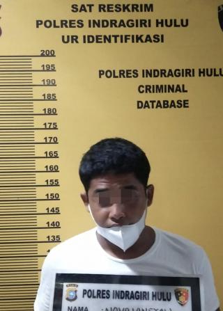 Lagi, Buruh Kebun Sawit di Inhu Perkosa Bocah Ingusan