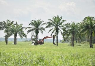 Kabid DLHK Alwamen "Bungkam" Dikonfirmasi Tugasnya dalam Pengawasan