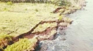 Abrasi Pantai, Warga Bengkalis Tagih Janji Jokowi