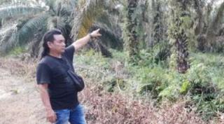 Kalau Dibutuhkan Jokowi, ARIMBI Akan Tunjukkan Kebun Ilegal Dalam Kawasan Hutan di Riau