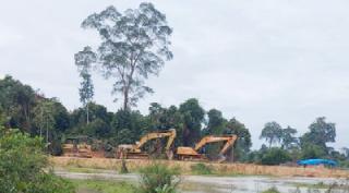 KPH Sorek Temukan 3 Alat Berat Dalam Kawasan Hutan Di Mentulik Kampar, Ini Kata Murod