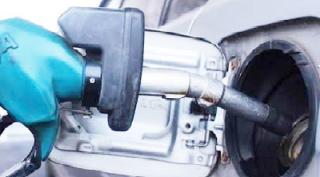 Masih Banyak Alternatif Green Energi Selain CPO, Riza Mutyara: Jadi Tak Perlu Heran?