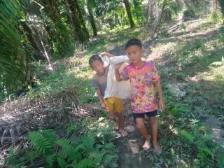 Ketika “Darah dan Keringat Buruh Sawit” Sukseskan Program Biodiesel Jokowi