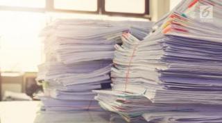 Heboh, Kejagung Sita Ratusan Dokumen Izin Kebun PT DPN di Inhu