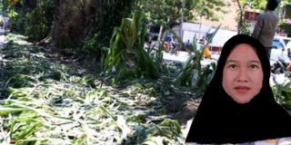 Pebanyak Oksigen di Pemukiman Padat Kota Surabaya dengan Mewujudkan Kelanjutan Pembangunan Taman