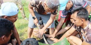 Bukan Saja Sewaktu di Indonesia, Satgas Muslim Kizi Monusco Juga Melaksanakan Kurban di Kongo