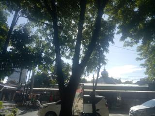 4 Tahun LPJU Mati Di Depan Masjid Jamik Jl Taruma, Medan Petisah, Warga Berharap Lampu Di Hidupkan Dan Pohon Di Pangkas