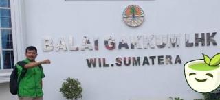 LKLH Laporkan Dugaan Tindak Pidana Penebangan Pohon di Kota Medan Ke Kepala Gakkum KLHK Wilayah Sumatera