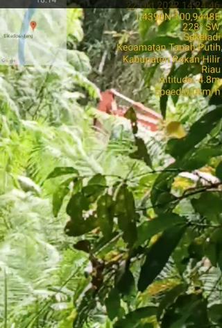Gawat...Hutan Tempat Warga Sekeladi Rohil Mencari Ikan Kini Diperjualbelikan, AM; Kami Tidak Terima