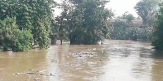 Genangan Di Kali Ciliwung Telah Dinyatakan Surut