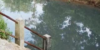 Pengawasan DLH Pelalawan Lemah, Limbah RAPP Menyebabkan Kulit Warga Sering Gatal