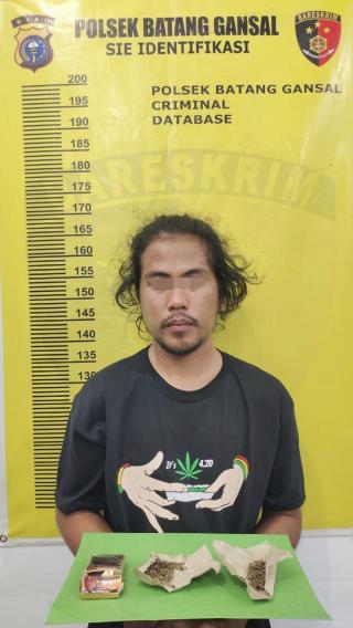 Disikat Operasi Pekat, Pria Ini Tak Berkutik Karena Ganja