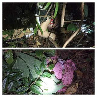 Tragis, Seorang Ibu dan Anak Ditemukan Tewas Dekat Rumahnya