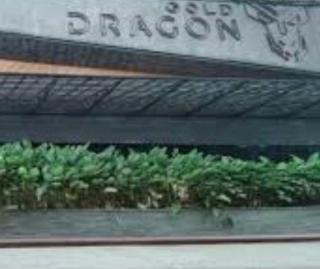 Omset Ratusan Juta, Konfirmasi WP Parkir, Kontak WA Wartawan Di Blokir Manajemen Hollywing (Golden Tiger) Di Medan