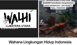 Pekerjaan Drainase Di Medan Korbankan Pohon, WALHI Sumut Sebut Menyelesaikan Masalah Dengan Memunculkan Potensi Masalah Baru.