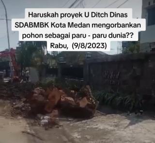 Maraknya Pohon Di "Begal", Bangkainya Di Duga Dijual, Sekretaris Dinas SDABMBK Kota Medan Bungkam Saat Di Konfirmasi 