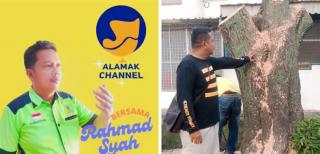 Stop "Begal" Pohon, Pemko Medan Tak Hargai Kesepakatan RDP Komisi 4 DPRD Terkait Keluhan Warga Sampali Medan Area